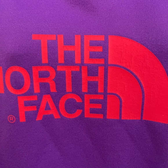 The North Face hoodie Large EUC - Picture 3 of 5